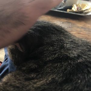 Meet your Posher, Pete